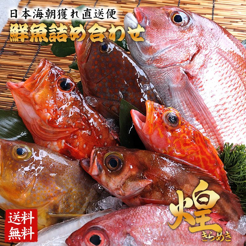 さかな様注文分 太刀魚専用カン付針 | 株式会社ヤマイ